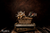 Rusticia2