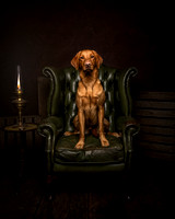 OTTO