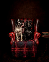 Bea & Nell