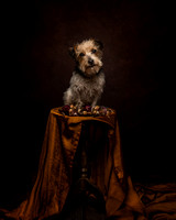 Remi Vanity Fur