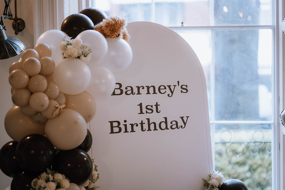 Barney Birthday-4